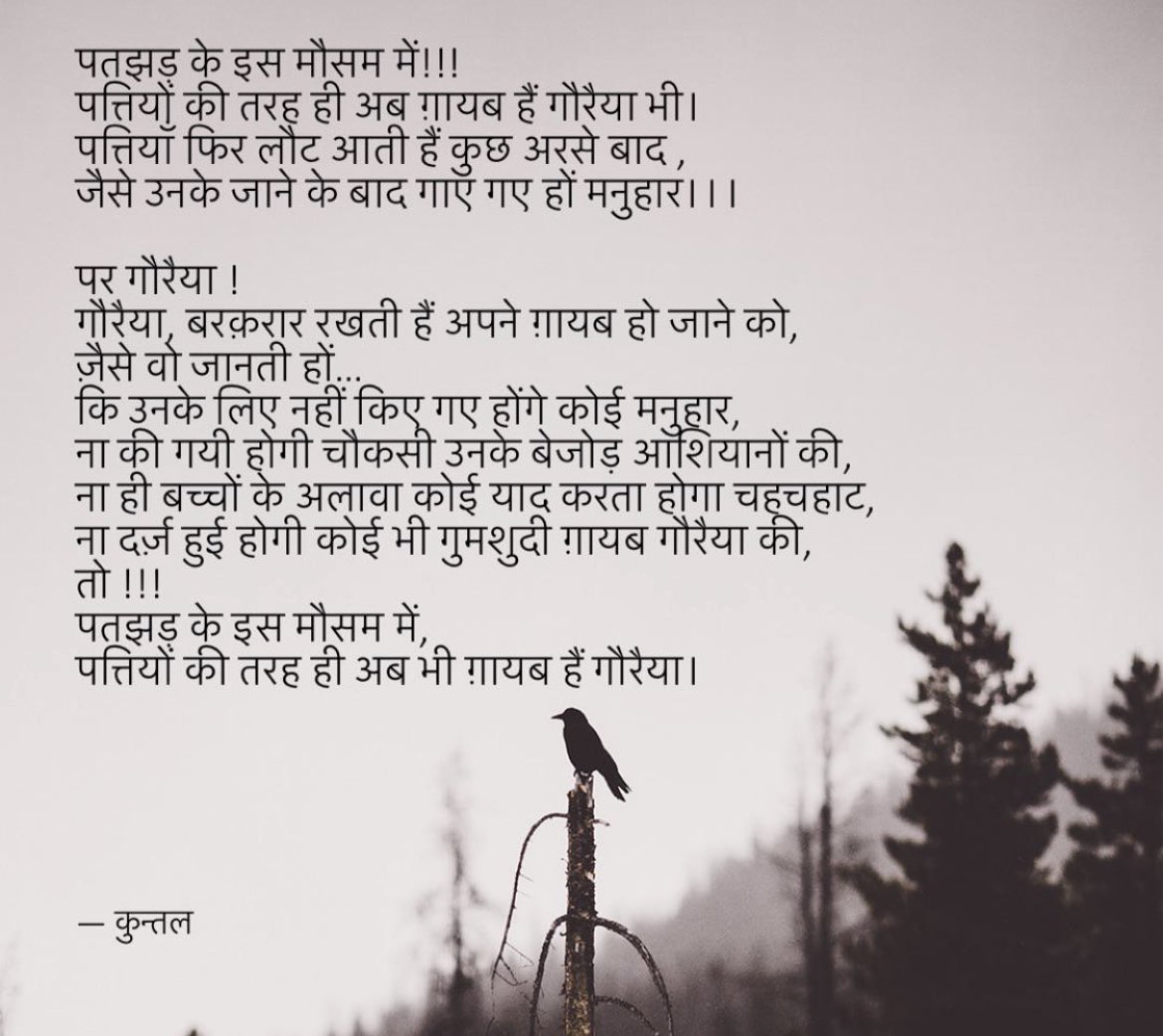 RasAbhimanyu's tweet photo. पतझड़ के इस मौसम में…
गौरैया 
#sparrowday https://t.co/OsUR6sosPa
