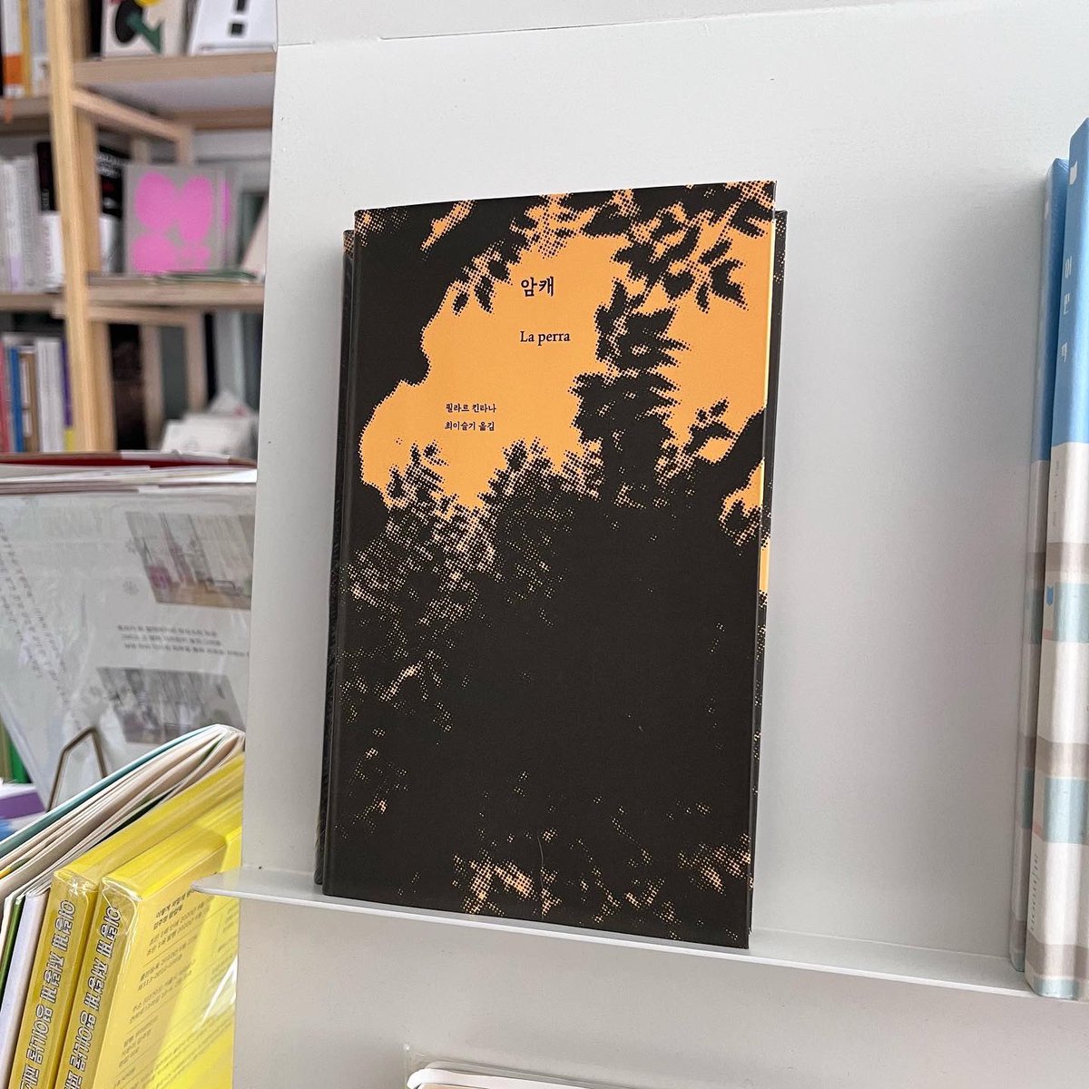 별책부록 서점 tweet media