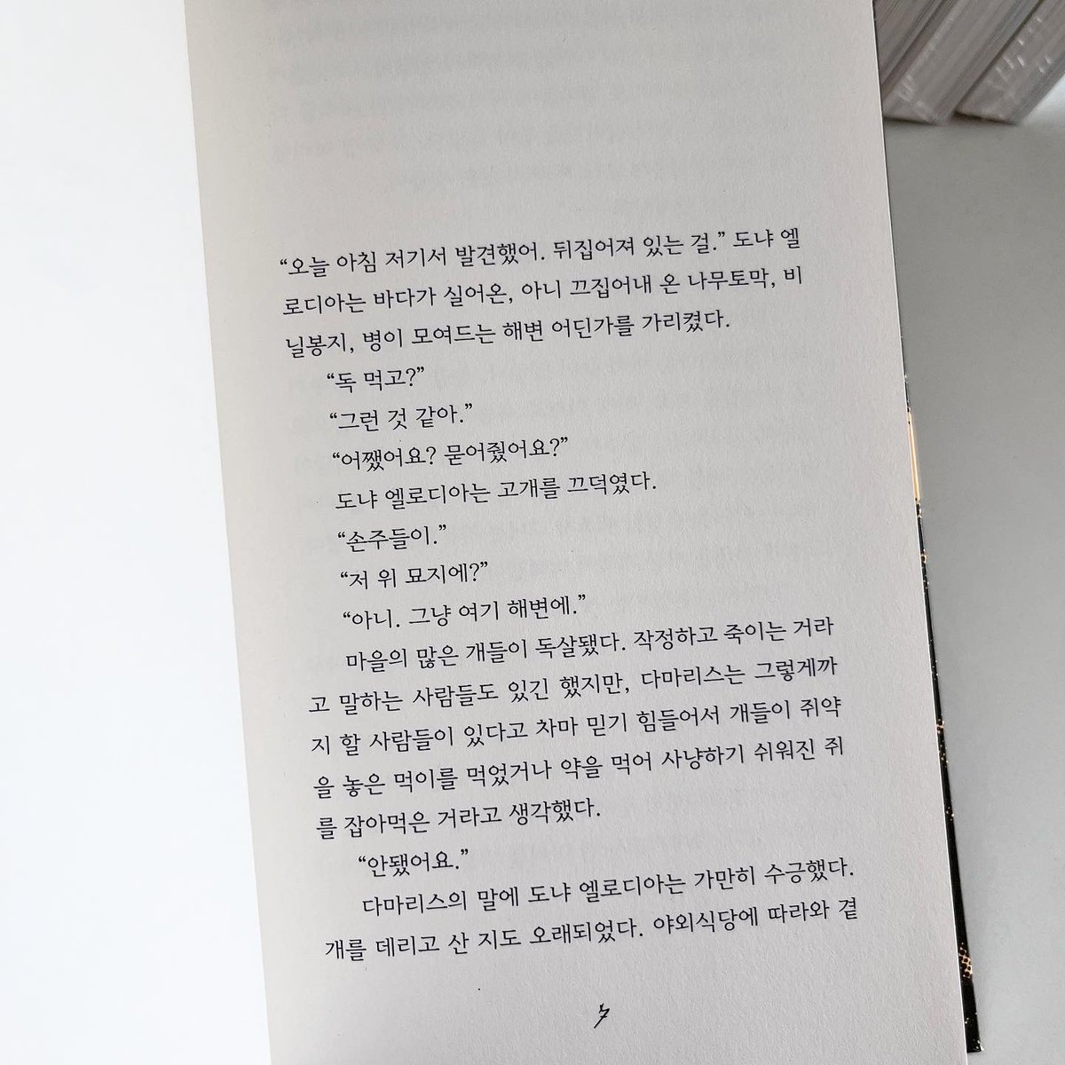 별책부록 서점 tweet media