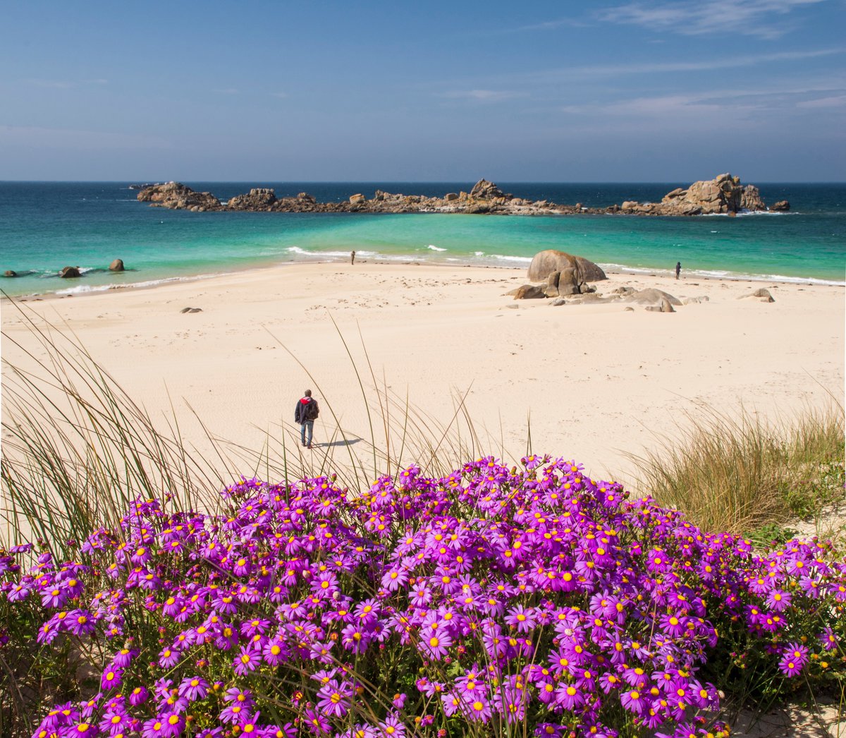 Adilemoigne's tweet photo. ça y 'est, c'est le printemps...
Cléder, la magnifique plage des Amiets sous un ciel printanier. 
Bonne semaine!!! https://t.co/SlFhSsBHUq
