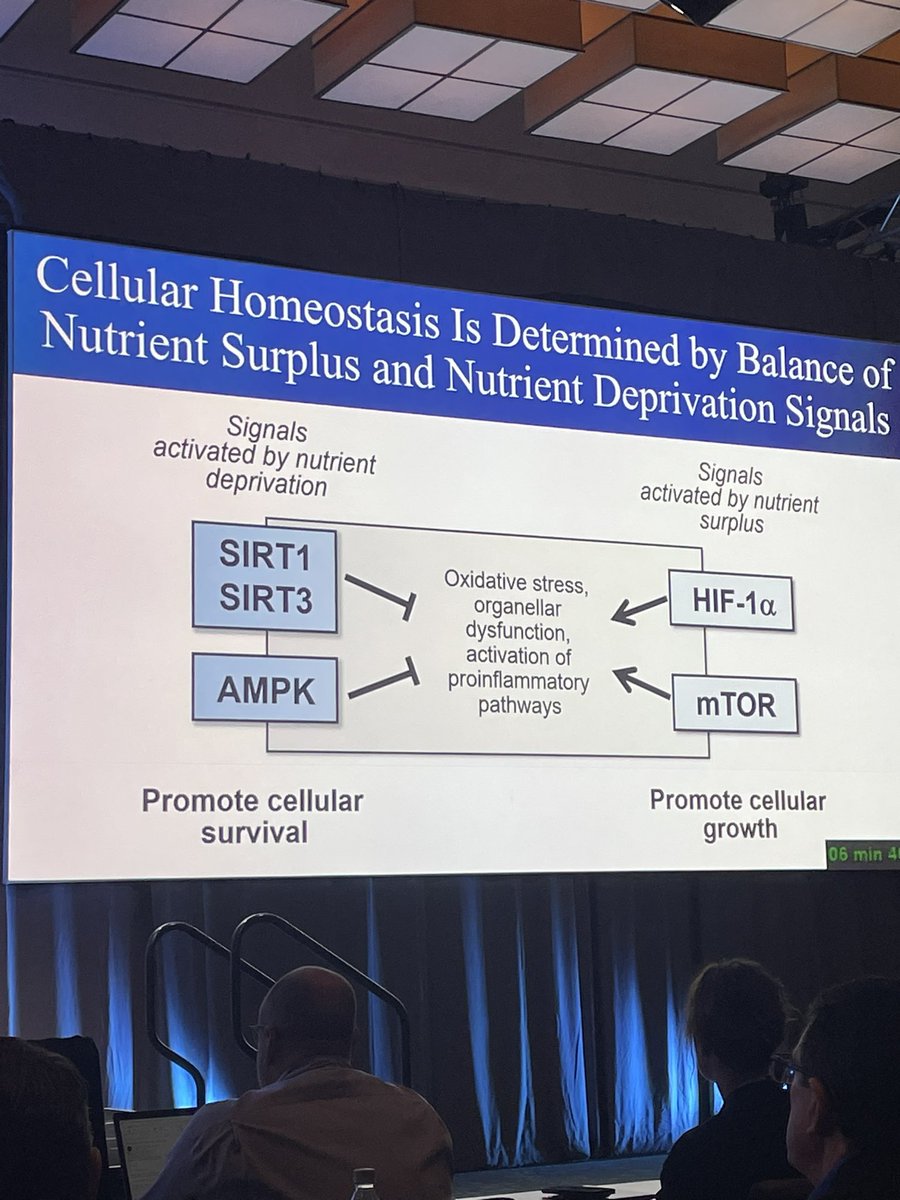 AndrewJSauer's tweet photo. Milton Packer channels his inner orator while schooling us all on the secret to SGLT2i  #THT2023 

— it’s all about mimicking starvation (autophagy). 

I referenced his literature on this last summer. Milton inspires us to dive deep into mechanism. 

https://t.co/saJz2xQ5Do https://t.co/VjdrnfQHew