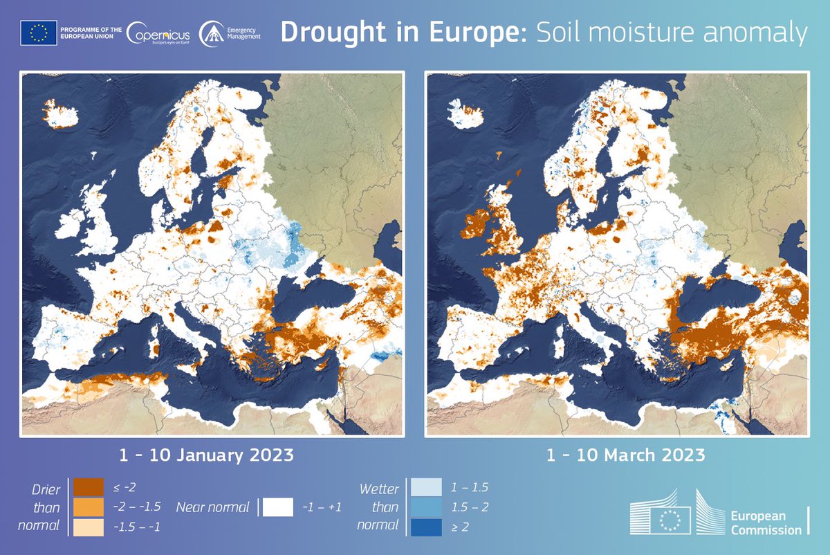Stephen Quest tweet media