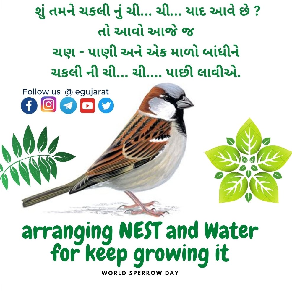 eGujarat's tweet photo. On #worldsparrowday take initiative for lovely little Bird #Sparrow. https://t.co/zC36961isV