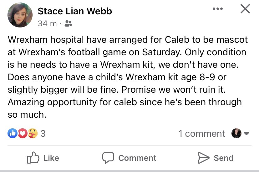 Missfitzwales's tweet photo. Can anyone help Stace and Caleb out please? Caleb has been so very poorly, this is amazing for him! @VancityReynolds @RMcElhenney @RobRyanRed @Wrexham_AFC @wrexham #mascot #chronsdisease #wrexham #wales https://t.co/qPjDos8mwr