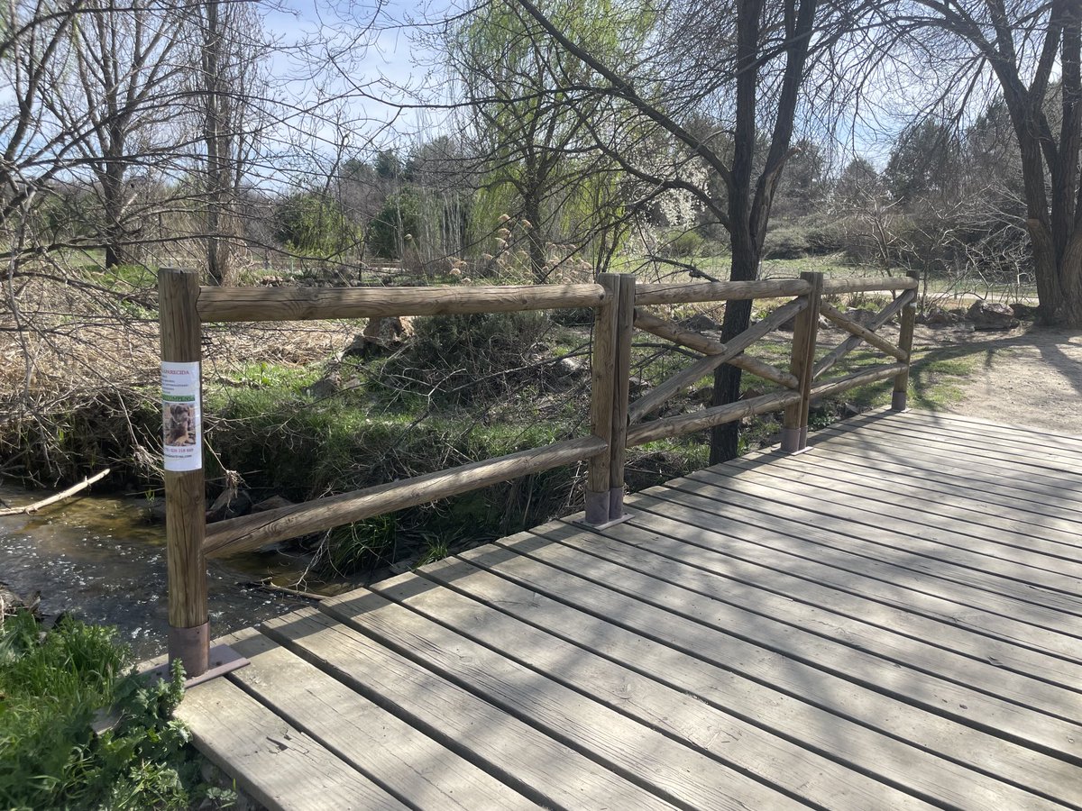 ⁦<a href="/AytoPinto/">Ayuntamiento de Pinto</a>⁩ no se si esto ya es Getafe pero desde luego es un peligro y un crío se puede colar. Justo en el arroyo culebro