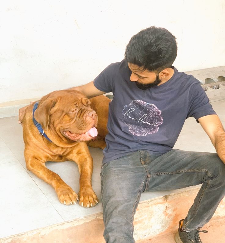 cvampareek's tweet photo. #Mastiff #JOY https://t.co/KD4l4YgCug