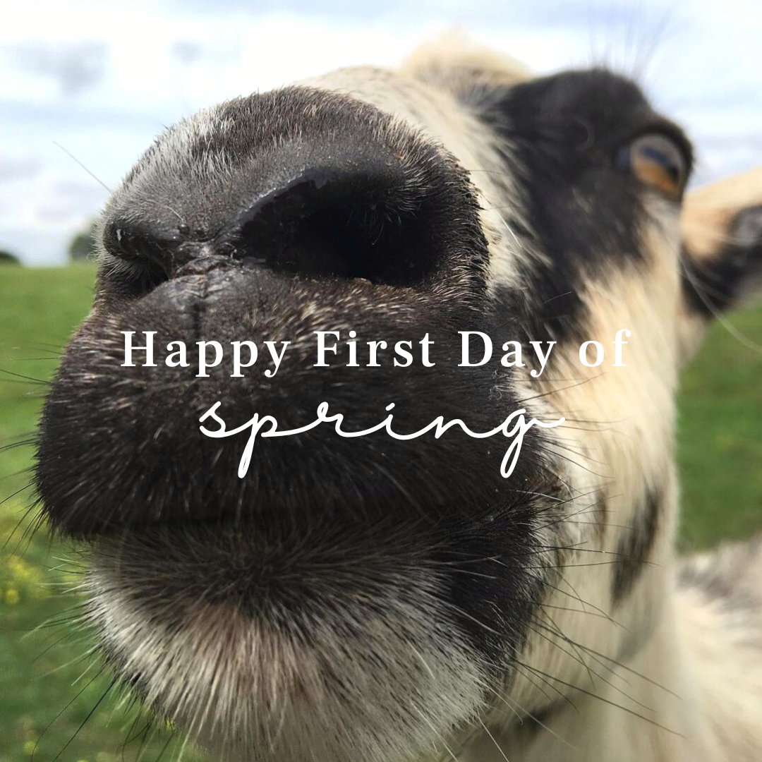 P. Allen Smith tweet media