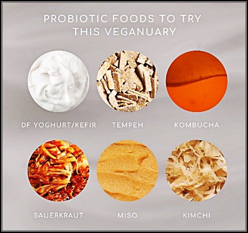 Cibi Probiotici che aiutano a rinforzare il #sistemaimmunitario situato nell'intestino 
#kefir #tempeh #kombucha #crauti #miso #kimchi