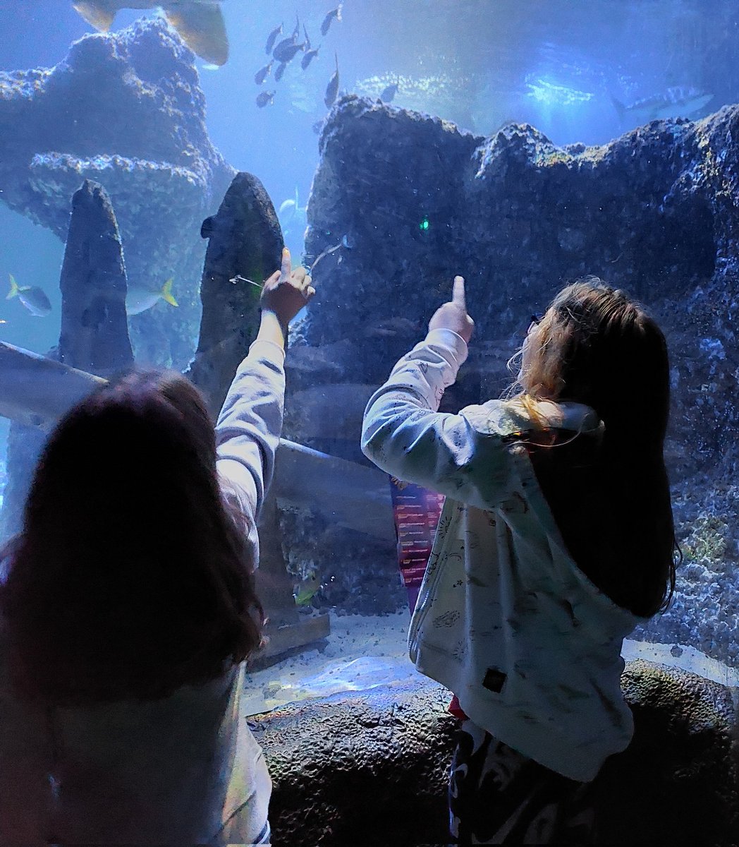 SamBamBradley's tweet photo. We had a wonderful time at @TraffordPalazzo @SEALIFEManc  and @LDCManchester. So much to see and do.  Looking forward to planning our next trip! https://t.co/6AA00JMGEz