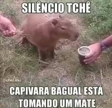 @Net_Genial RS é top.