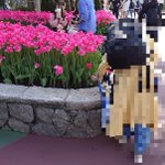 全ては映える写真を撮るため？TDLで花壇の花を引き抜く女性。