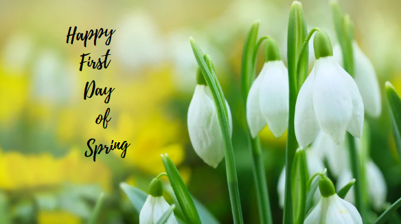 BronzeCraftCo's tweet photo. Time to shake off the cold, and welcome in the warmer weather! Happy First Day of Spring! 🌷
#SpringHasSprung https://t.co/cfokHgUDv2