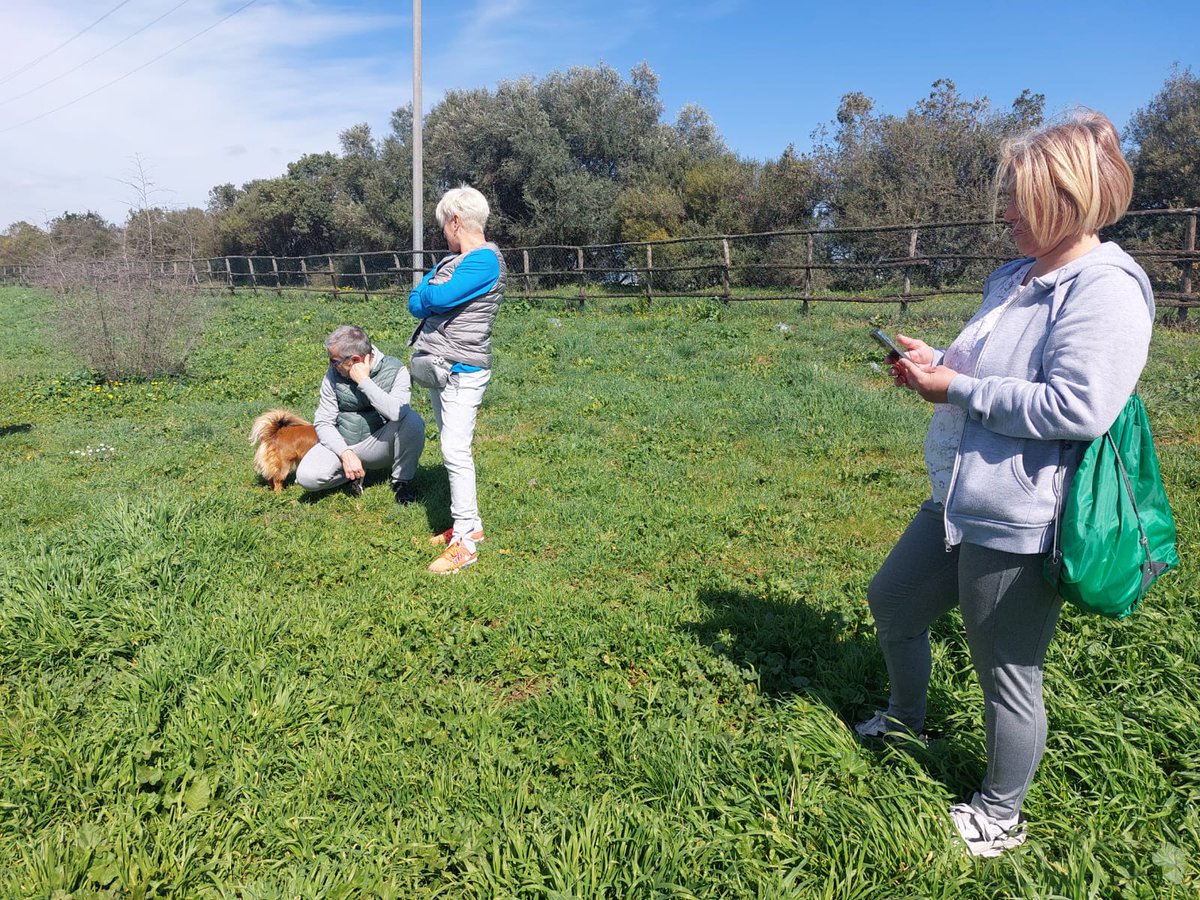 Kanito_pet's tweet photo. Sabato scorso la nostra educatrice cinofila Nadia ci ha portati a passeggiare al Parco degli Acquedotti di Roma 😊🐶 

Scopri le prossime passeggiate educative a Roma 👉🏼 
https://t.co/4kZP07onCx

#passeggiate #outdoors #roma #educazionecinofila #dogfriendly #esperienza #kanito https://t.co/wpAo44Whl4