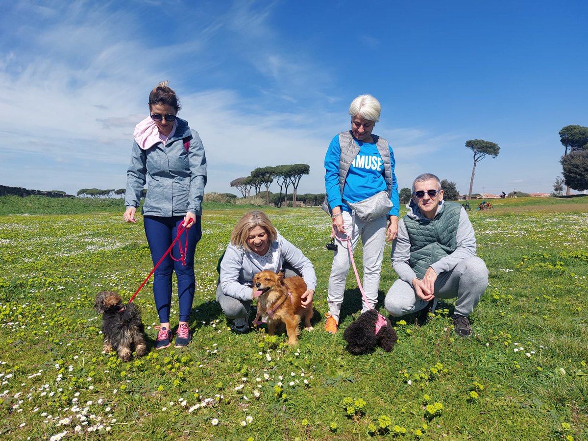 Kanito_pet's tweet photo. Sabato scorso la nostra educatrice cinofila Nadia ci ha portati a passeggiare al Parco degli Acquedotti di Roma 😊🐶 

Scopri le prossime passeggiate educative a Roma 👉🏼 
https://t.co/4kZP07onCx

#passeggiate #outdoors #roma #educazionecinofila #dogfriendly #esperienza #kanito https://t.co/wpAo44Whl4