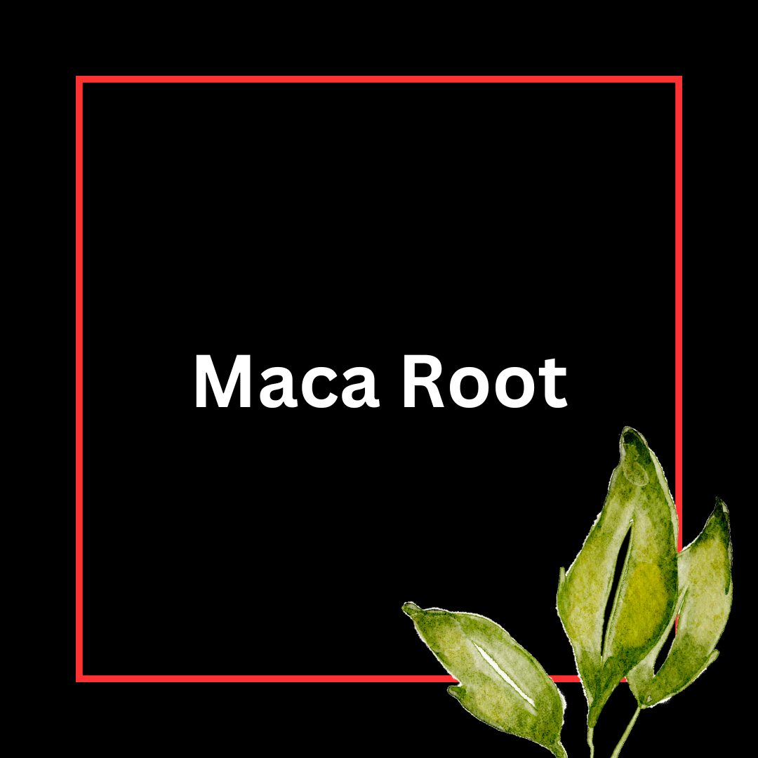 Gyno Is An Estrogen Problem Here's How To Fix It ⬇ Thread from The