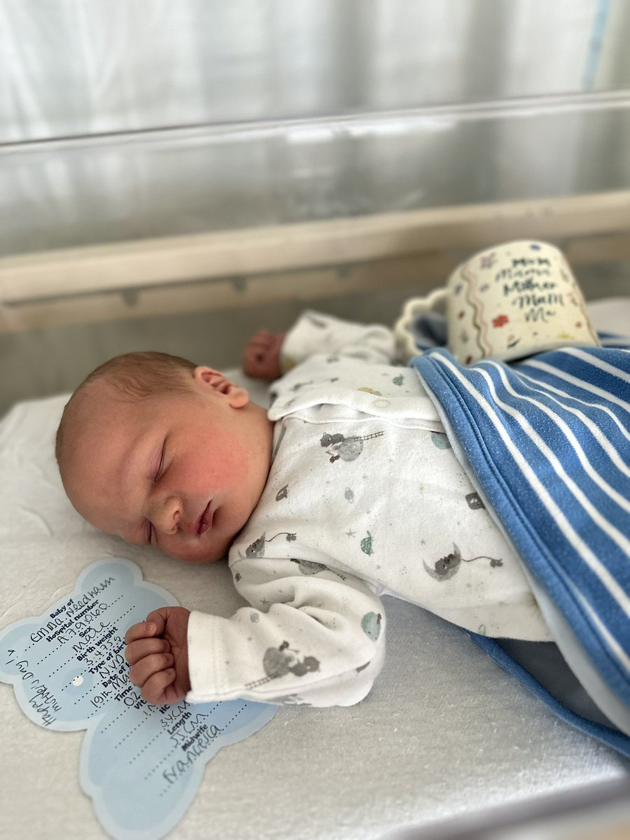 Louise Tartarelli tweet media