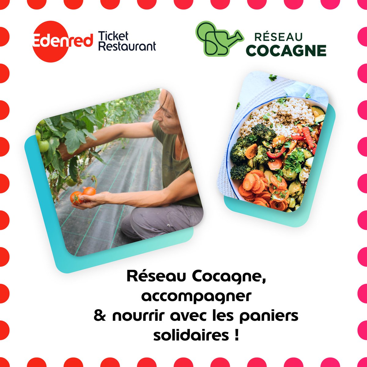 Ticket Restaurant, c’est aussi la possibilité de s'engager pour soutenir Réseau Cocagne
👉En faisant don de solde, sans limite de montant, grâce à l’application MyEdenred
👉En envoyant ses titres-restaurant papier 2022, qui peuvent être donnés à Réseau Cocagne jusqu’en mars 2023
