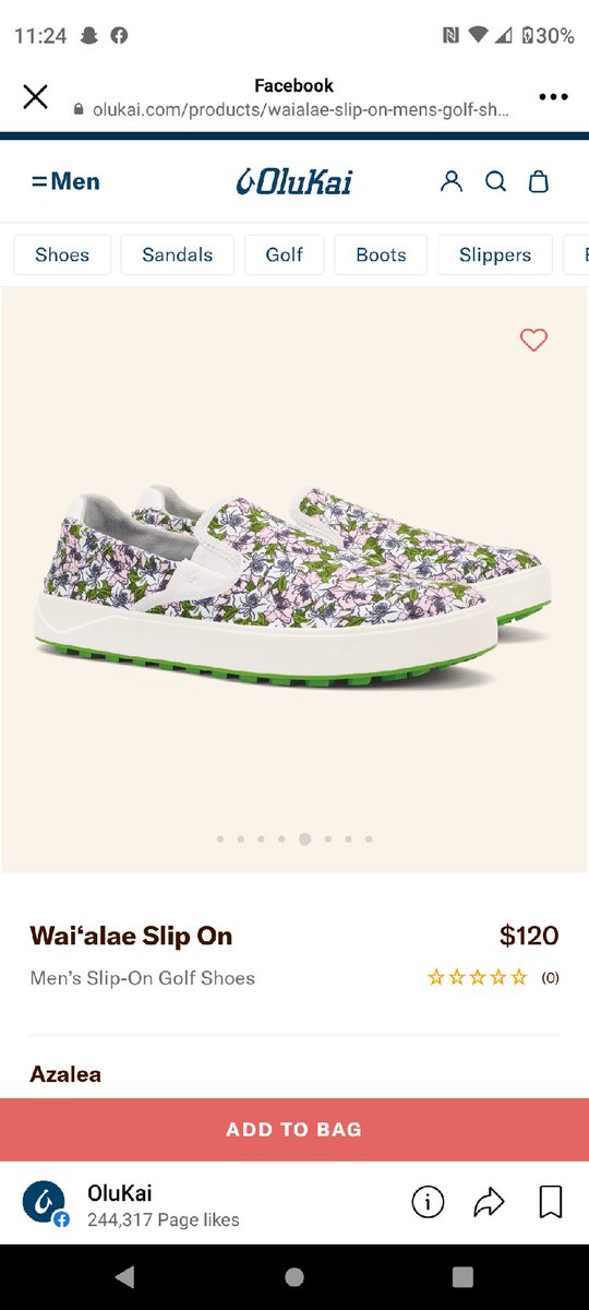 Shane Rice tweet media