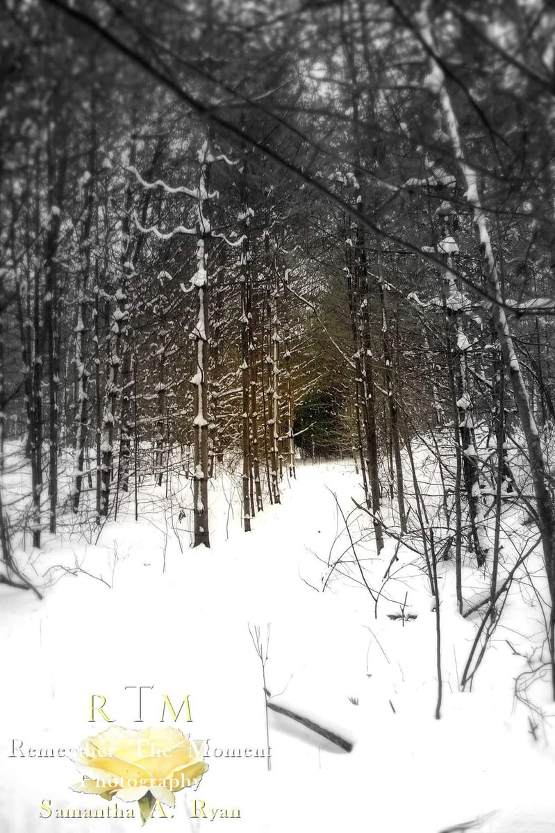 RememberTheMoment📸 tweet media