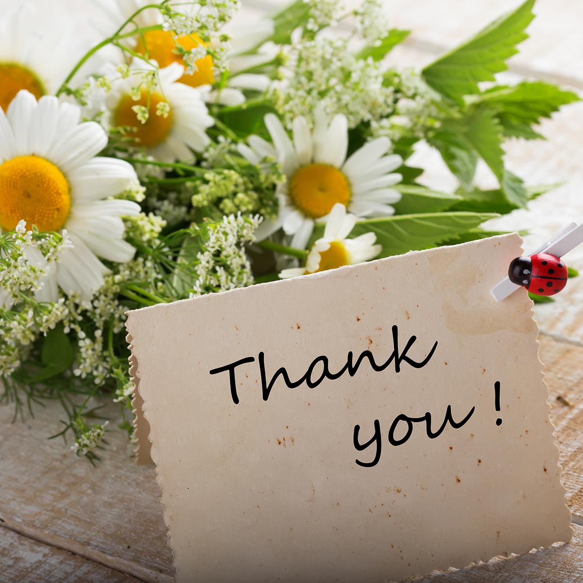 AndreaAngelSky's tweet photo. Would just like to say thank you to @MissCaldwell09 and all the staff who took our kids to Robinwood and looked after them for the weekend, for all our videos sent home for Mothers Day 💗 and for going that extra special mile and organising a cake each for us 😀  so thoughtful. https://t.co/9CLSW0SaWt