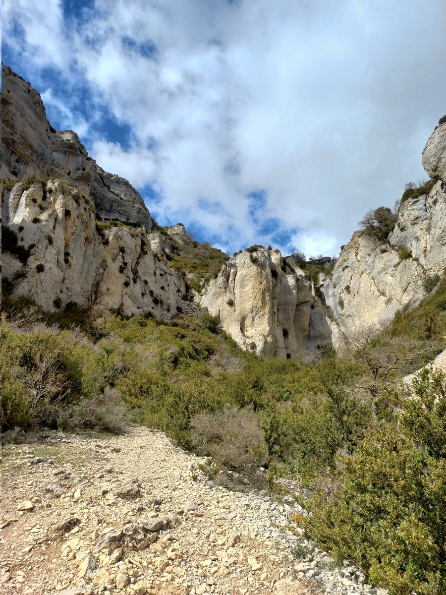 fgmzdz's tweet photo. El puerto de Ganuza es una joya para disfrutar de los caminos de herradura premodernos y que nos hablan de la importancia que tuvieron muchas rutas entre el valle del Ebro y el cantábrico. #sierradelokiz https://t.co/poQ0xJvri9