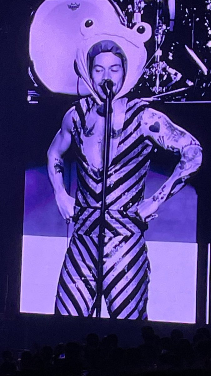 Harry esta noche en Seúl 😂🐸

#LoveOnTourSeoul