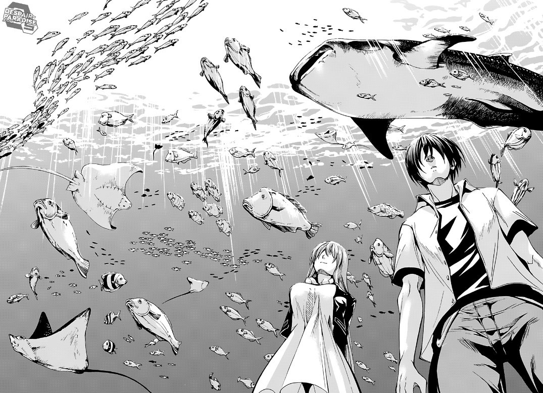 Reject on Twitter: "RT @Akaynaee_: Grand Blue tome 1 ☑️ Et bah