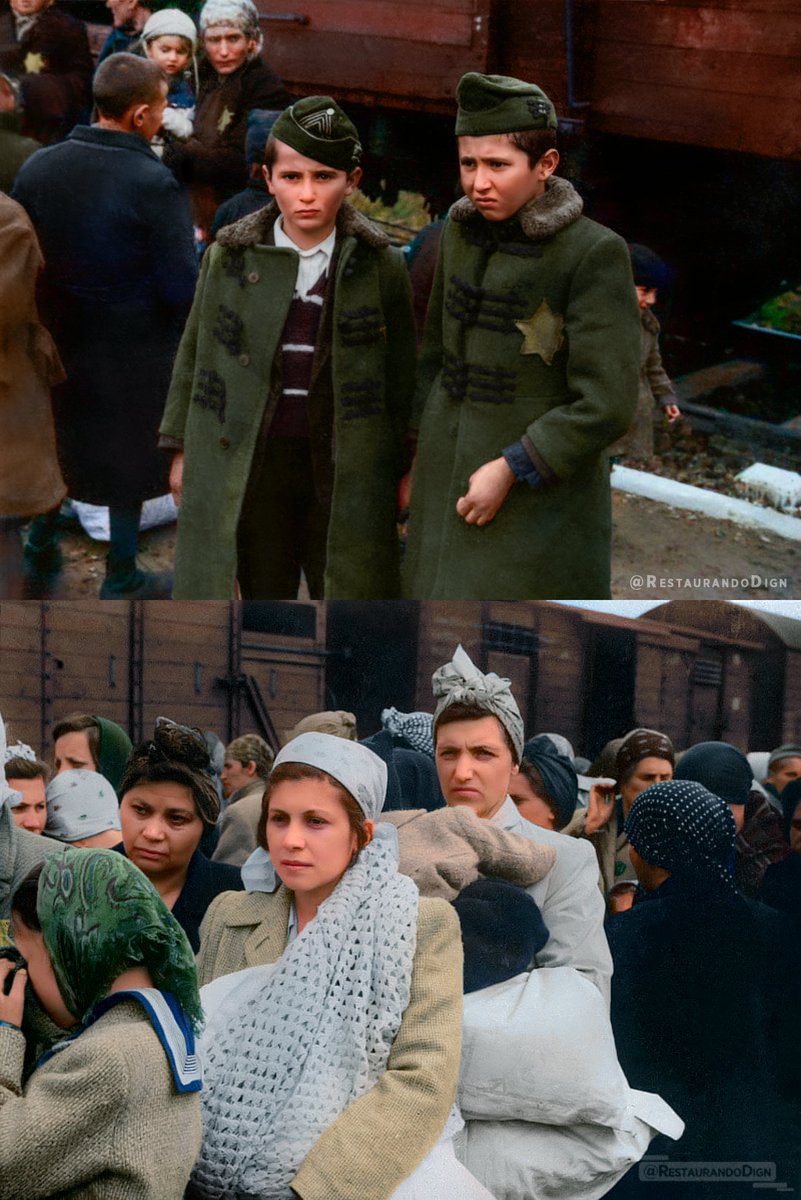 Cuando hablamos de Auschwitz aparecen fotografías como estas en las que se habla del proceso de "Selección" y de como la mayoría de los retratados fueron asesinados instantes después de tomarse la foto.

Pero ¿Qué era la "Selección"? ¿Sólo se daba en Auschwitz?

Hilo sobre ello: