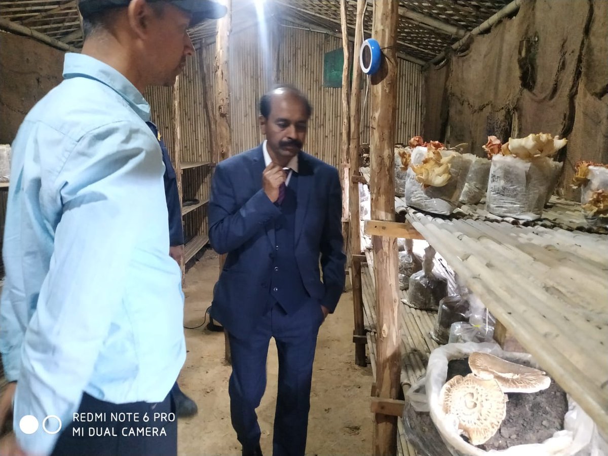BotanyDBC's tweet photo. NAAC Visit on 16 March 2023 https://t.co/KW49WML3Lu