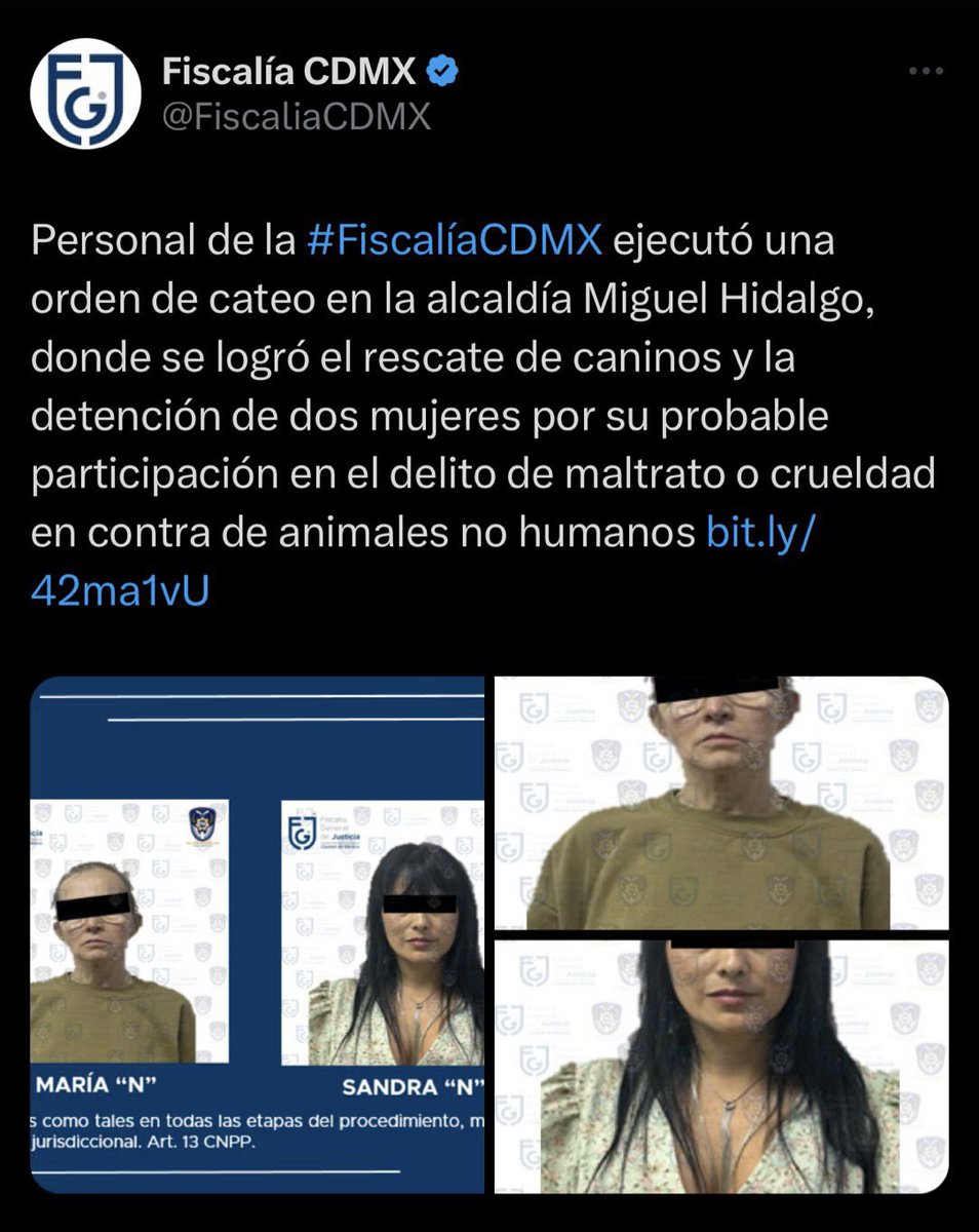 Yael_LaRuiz's tweet photo. Seguimos en espera de que se cumpla la ley de maltrato animal @FiscaliaCDMX no más corrupción y omisión ¡queremos justicia por los que no tienen voz! De lo contrario se empezarán a hacer públicas las pruebas ¡ya basta! #justicia https://t.co/tqm2xBXW4J