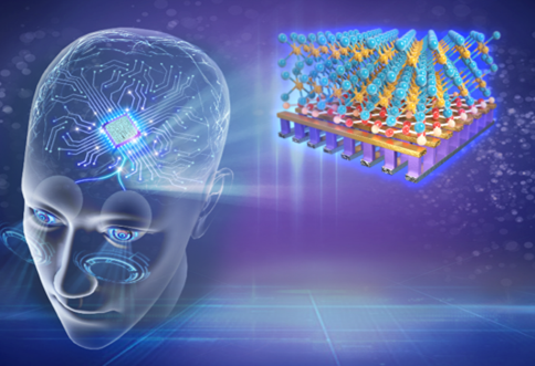 Neuromorphic Computing and Engineering (@iopneuromorphic) on Twitter photo Our Focus Issue on #2Dmaterials for #Neuromorphic Computing is now complete. Read the editorial and all articles: ow.ly/AXUA50NmvJf
Special thanks to Guest Editors Feng Miao (<a href="/njuniversity/">Nanjing University</a>), Joshua J. Yang (<a href="/USC/">USC</a>), <a href="/IliaValov/">Ilia Valov</a> (<a href="/fz_juelich/">Forschungszentrum Jülich | @fzj@social.fz-juelich</a>/<a href="/RWTH/">RWTH Aachen</a>) & Yang Cai (<a href="/HongKongPolyU/">The Hong Kong Polytechnic University (PolyU)</a>) Our Focus Issue on #2Dmaterials for #Neuromorphic Computing is now complete. Read the editorial and all articles: ow.ly/AXUA50NmvJf
Special thanks to Guest Editors Feng Miao (<a href="/njuniversity/">Nanjing University</a>), Joshua J. Yang (<a href="/USC/">USC</a>), <a href="/IliaValov/">Ilia Valov</a> (<a href="/fz_juelich/">Forschungszentrum Jülich | @fzj@social.fz-juelich</a>/<a href="/RWTH/">RWTH Aachen</a>) & Yang Cai (<a href="/HongKongPolyU/">The Hong Kong Polytechnic University (PolyU)</a>)