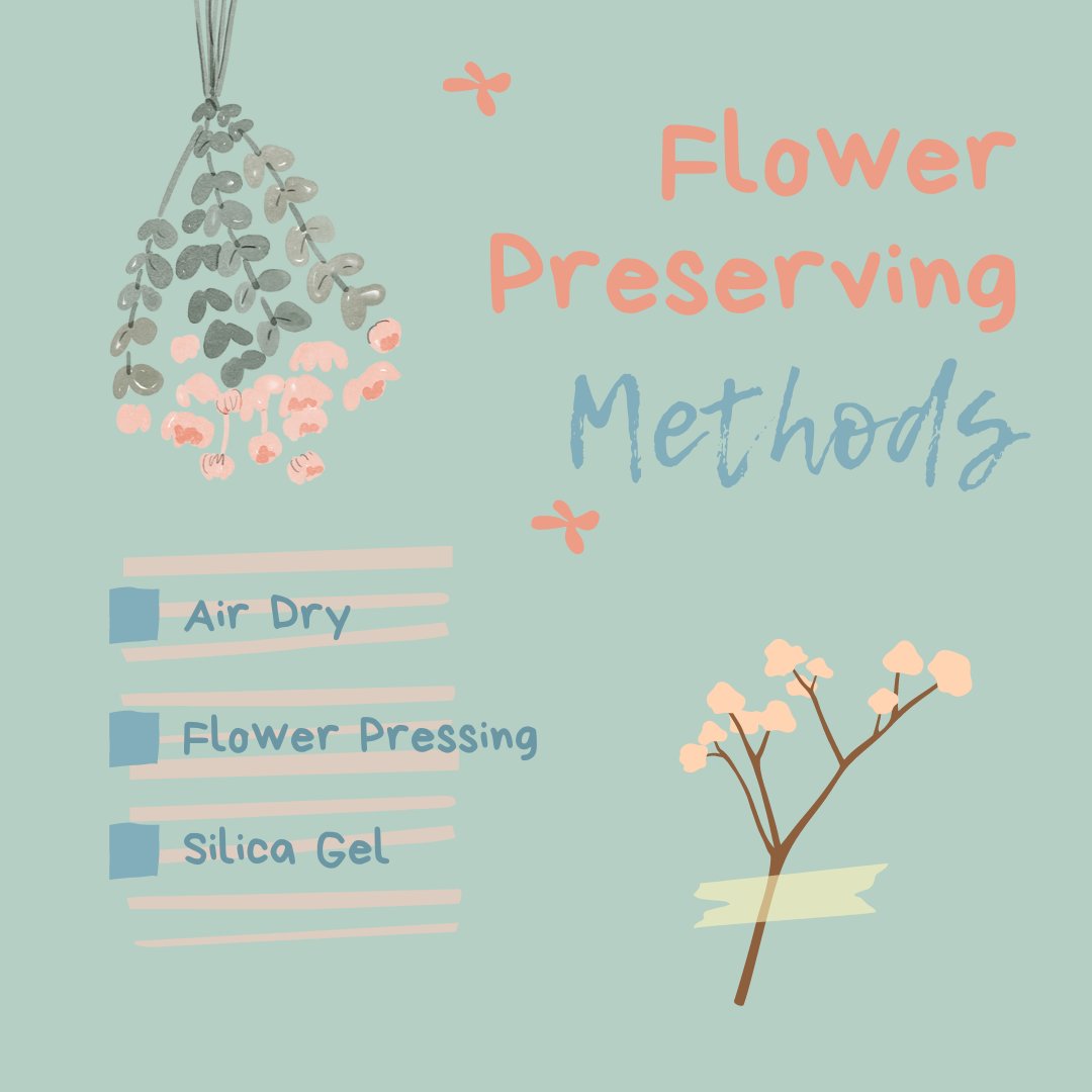 FMOzarks's tweet image. Got some flowers from Market and want to keep them looking beautiful forever? Try some of these different methods for preserving and drying flowers that will keep your blooms beautiful for years to come!

#makeitmonday #fmo #farmersmarket #shoplocal