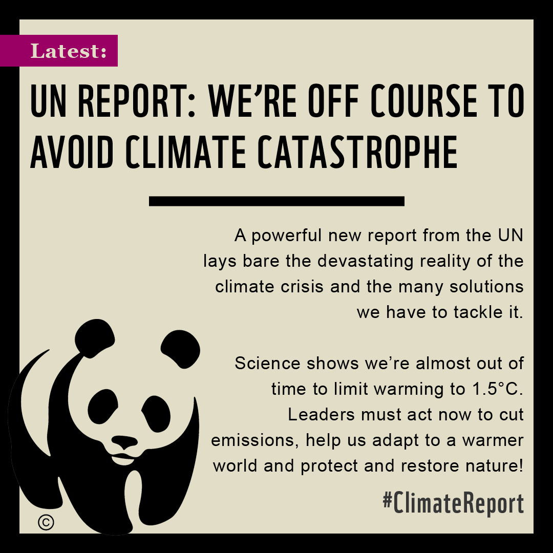 WWF_Arctic's tweet photo. 📣 BREAKING: New UN #ClimateReport shows we aren’t doing enough to respond to the climate crisis.
🌡️ "Only action can avert the crises of passing the 1.5°C target," Martin Sommerkorn, Head of Conservation, WWF Arctic
#ActOnScience #IPCC 👇
https://t.co/q1Yt9KiIrI https://t.co/KcGUMRSZJD