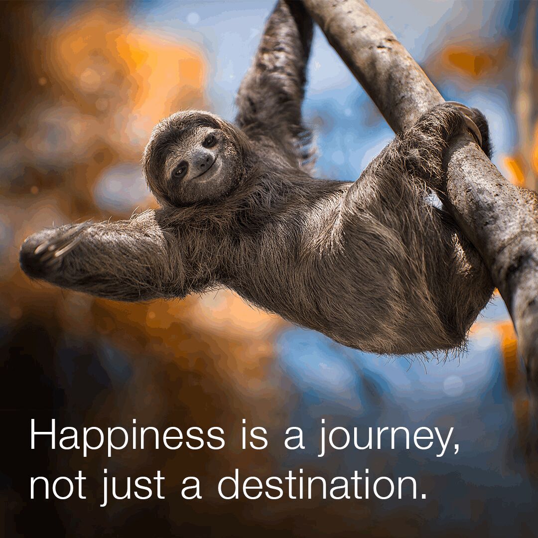 Happy International Day of Happiness. Today, we're celebrating the power of positivity and the simple things that bring us joy. Remember, happiness is contagious 😊 #InternationalDayOfHappiness #SpreadJoy #PositiveVibesOnly