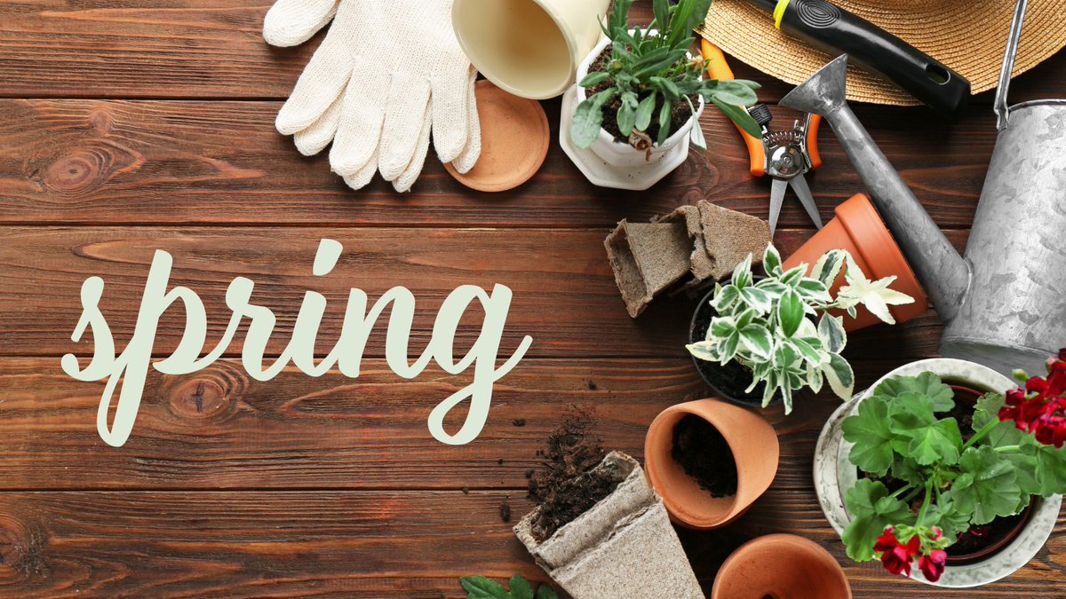 WelkerInc's tweet photo. "In the spring, at the end of the day, you should smell like dirt."
~Margaret Atwood
What are you planting in your spring garden?
Β·
Β·
Β·
#FirstDayOfSpring2023 #MargaretAtwoodQuote #GardeningSeason #Welker https://t.co/THnfVOu4NY
