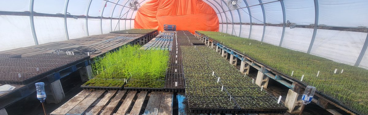 Foster Family Farm tweet media