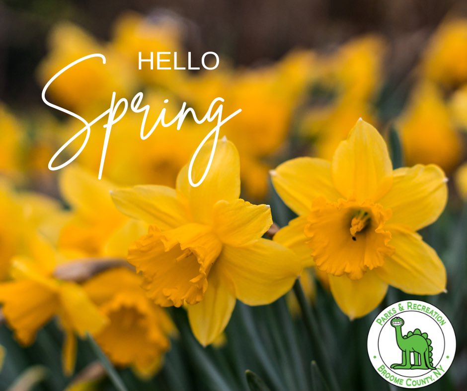 Happy Spring Broome County! 🌷☀️🌻
