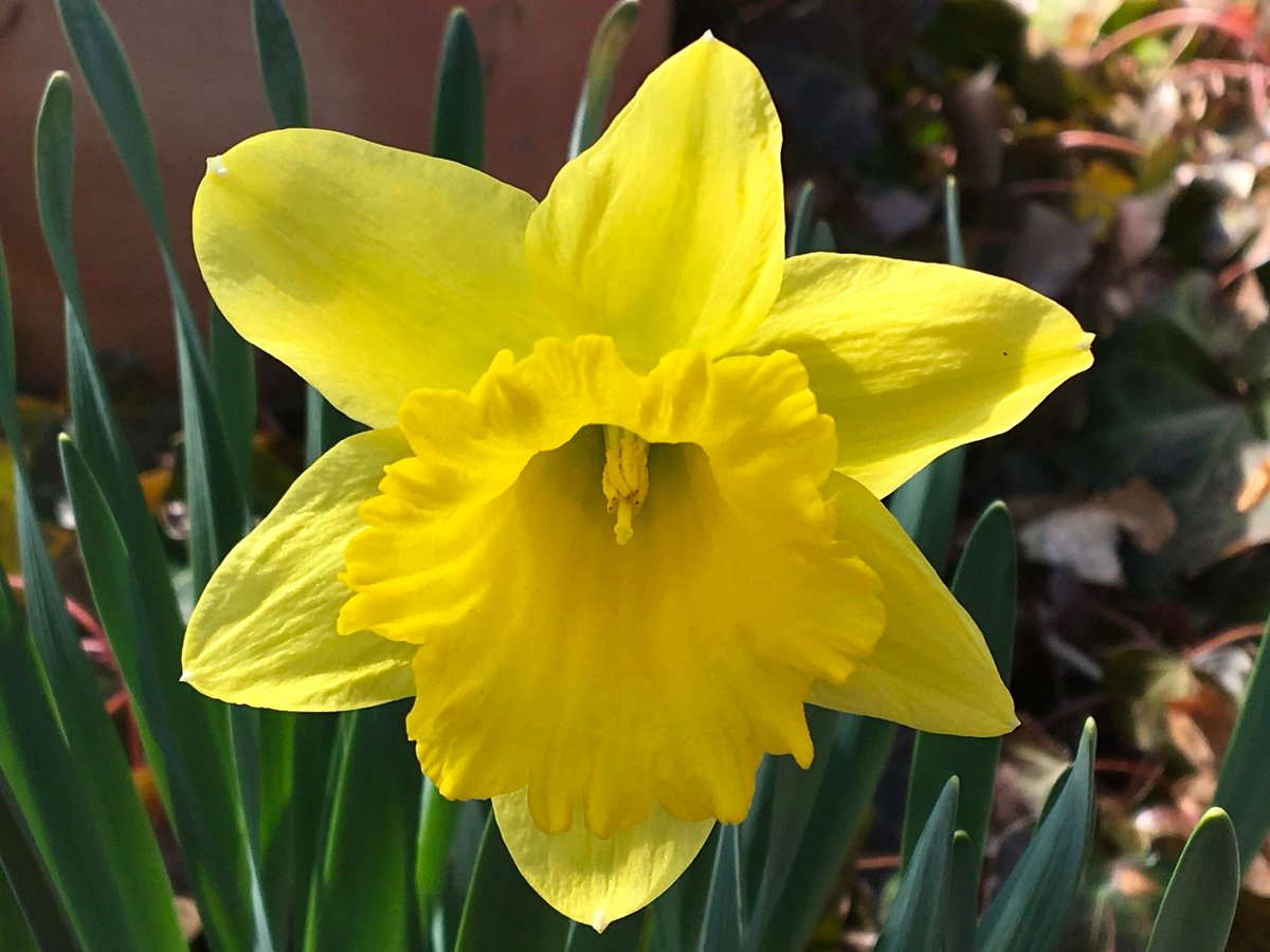 nptgalleries's tweet photo. Hello Spring! 🌞✨ https://t.co/7yxmwF8fu9