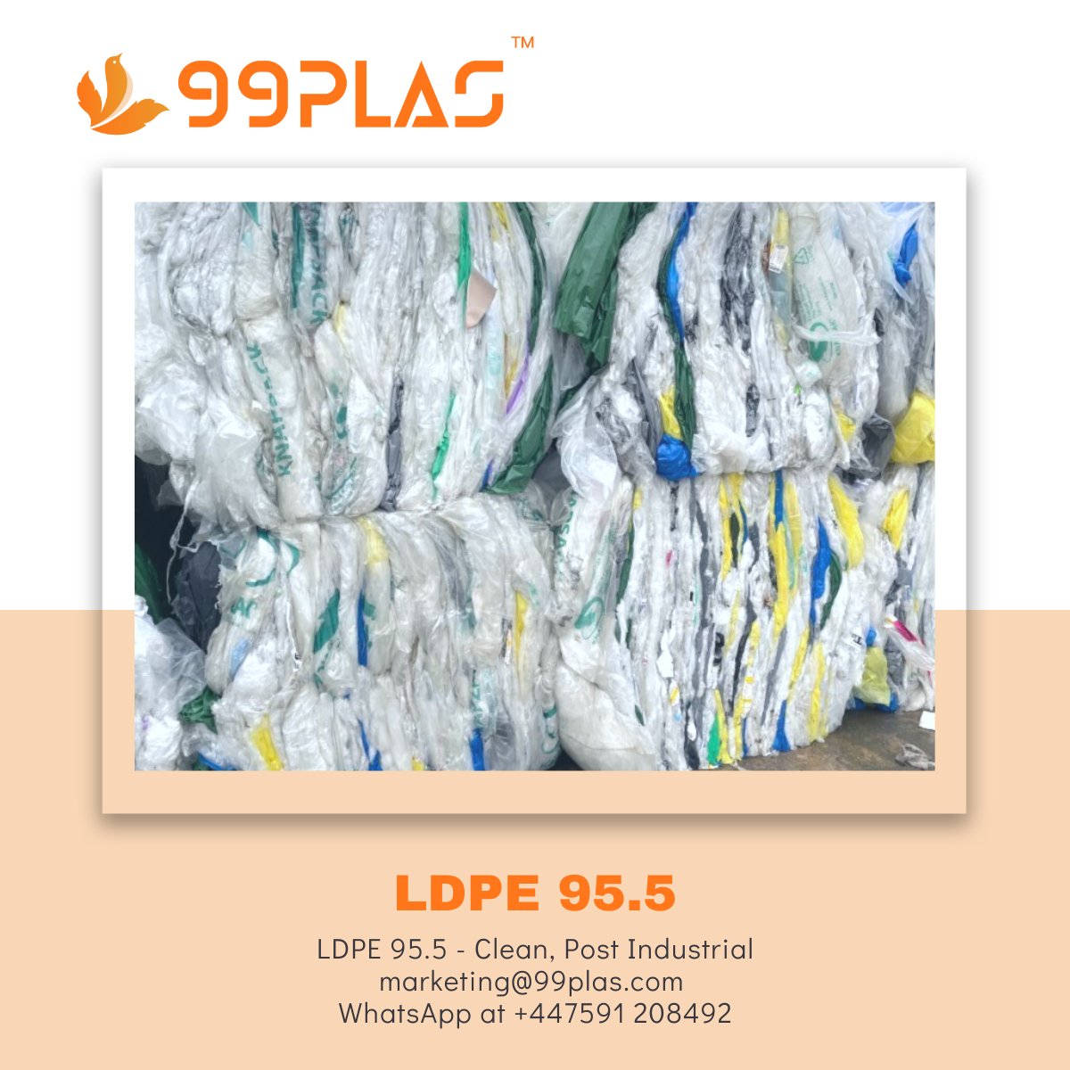 99Plas's tweet image. LDPE 95.5 Films from the UK. Email me your price offers at marketing@99plas.com or Whatsapp at +44 7591208492
#LDPE #ldpefilms #recycling #plasticrecycling