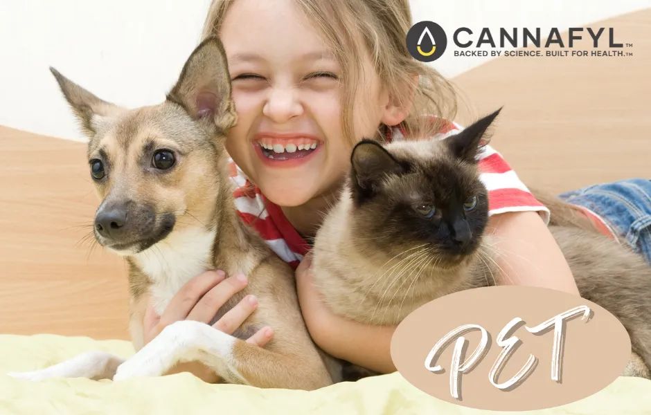 CANNAFYL'S Pet Blend premium CBD Oil Drops.  Uniquely effective. Now comes in 500mg and 1000mg for larger pets. All natural plant based CBD with no artificial flavorings. Also available <a href="/mycbdcabinet/">My CBD Cabinet</a> in Phoenix, Arizona.  #cbdforpets #petcbd #fulllspectrumcbd #cbdthatworks