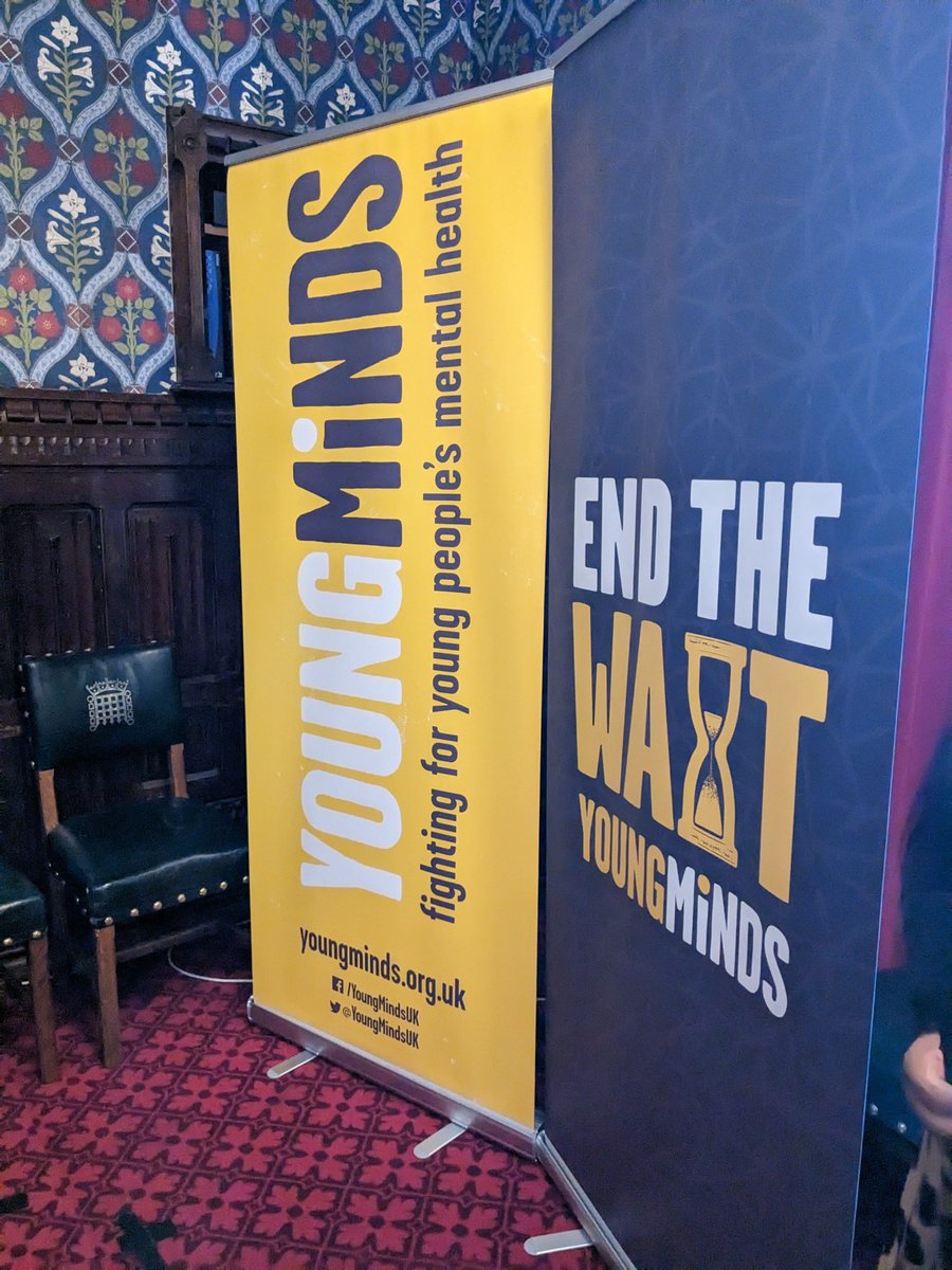 At parliament today with
@YoungMindsUK
 Activists talking to MPsabout how we can #EndTheWait and #FundTheHubs. #MentalHealth