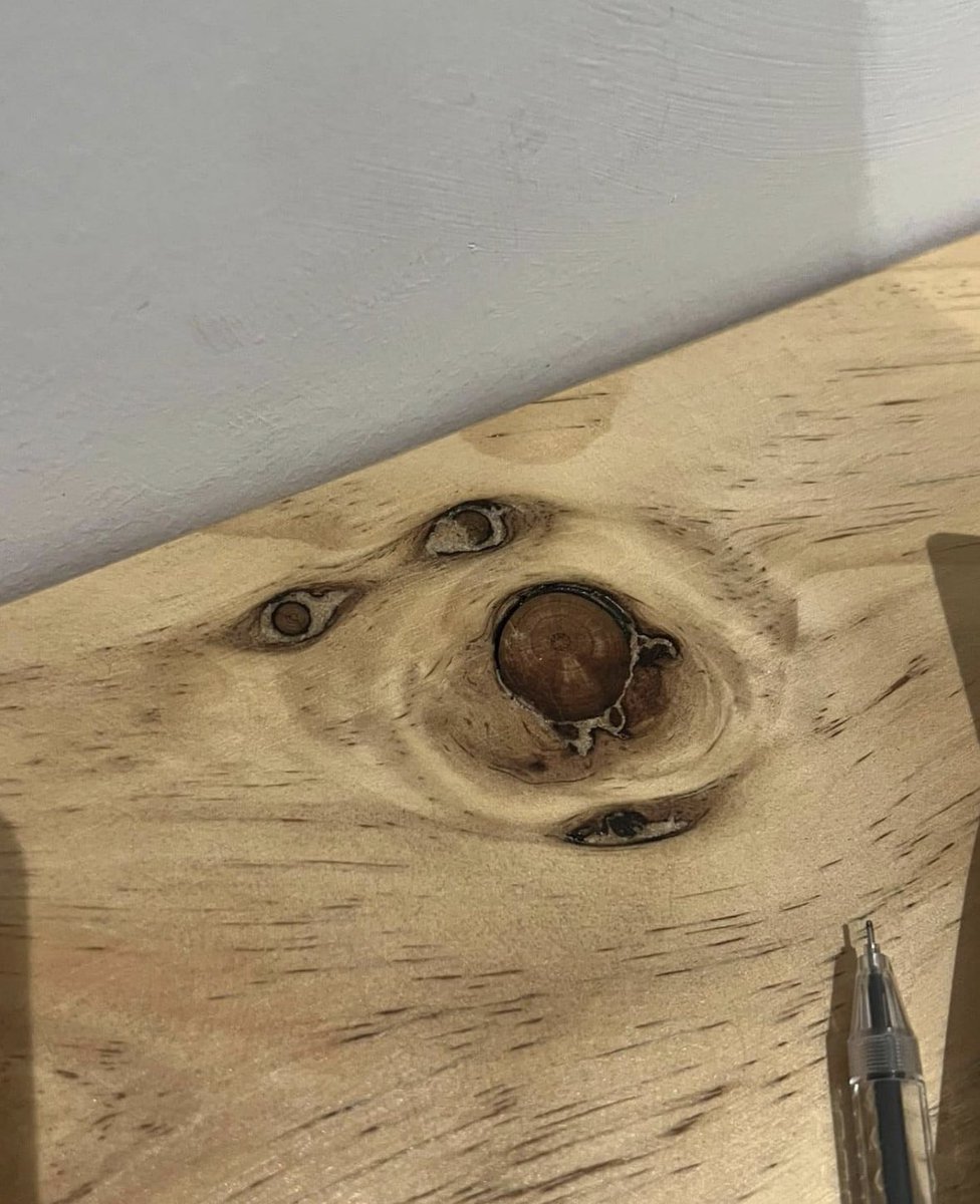 หยุดนำหมาแดงมาทำโต๊ะ