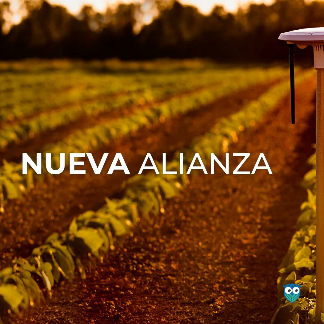 Caburearg's tweet photo. NUEVA ALIANZA

Estamos muy contentos de anunciar una nueva #alianza con @agrologyagro para acercarles la solución del clima a toda la comunidad.
#agtech #agrotech #Clima #agro #agricultura https://t.co/86k91ruNC0