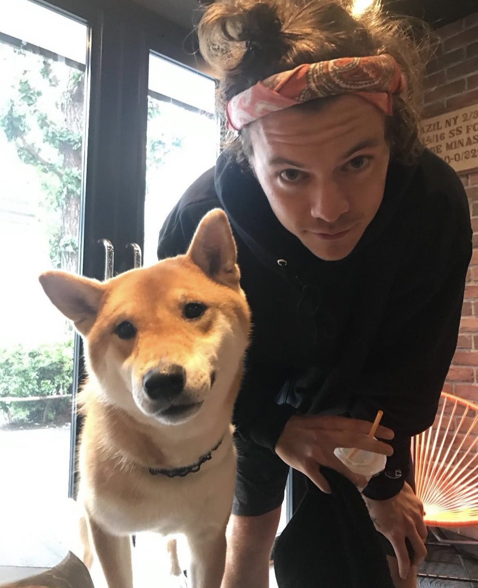 finelinemercury's tweet photo. Japan is next!!!! Harry and Bell reunion soon 🫶🏼🫶🏼 https://t.co/m03cag75Vz