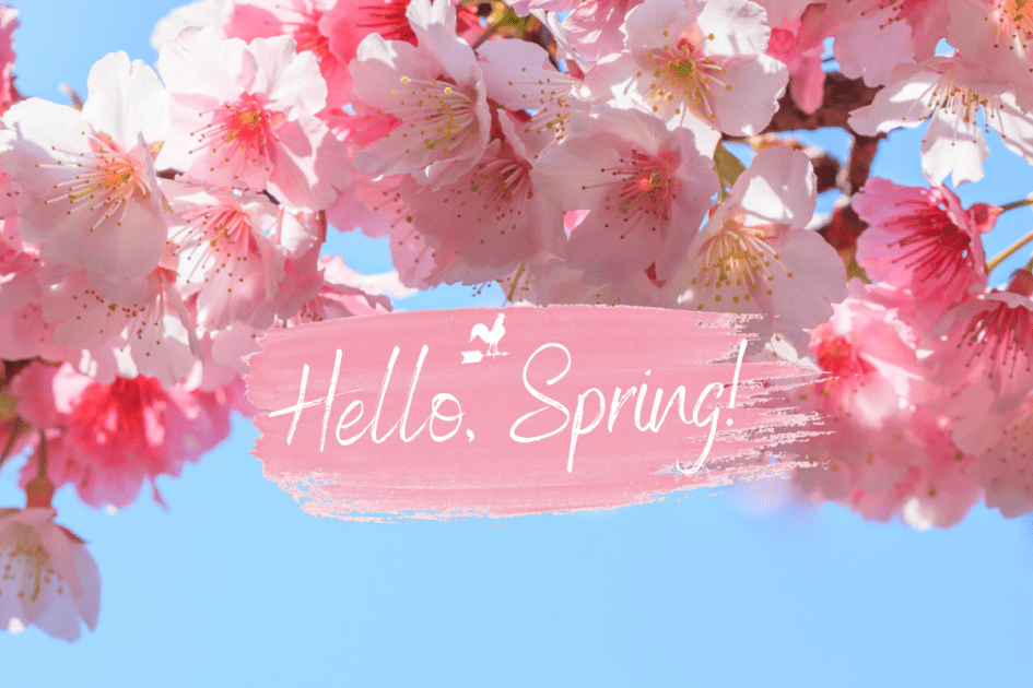 keytapa's tweet photo. #firstdayofspring  #spring #springequinox #spring2023 #springmood #springtime https://t.co/O7LSrkuQOK