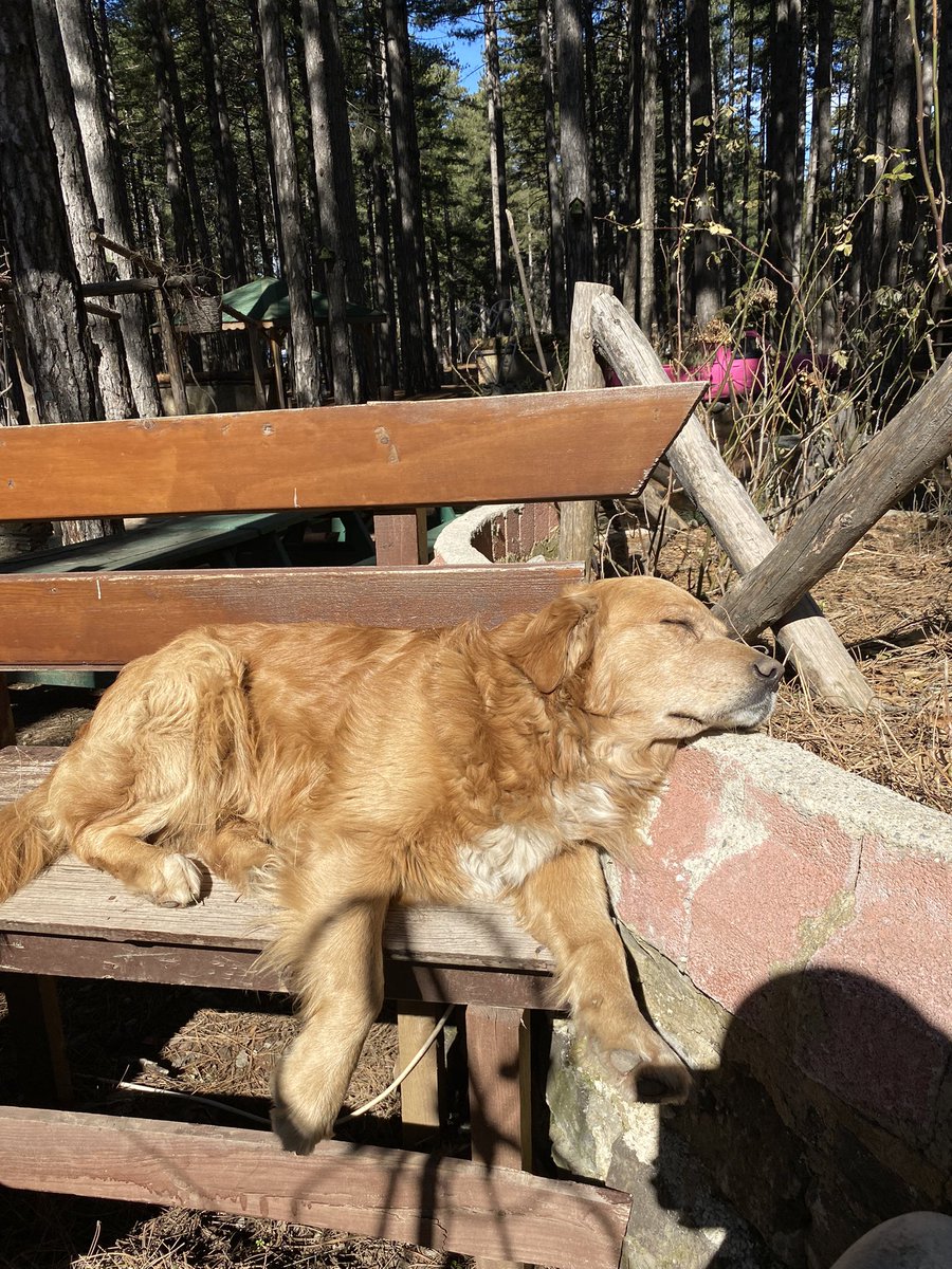Günü şu şekil tamamlamak istiyorum…😅😴🥰