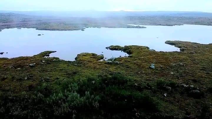 Kolfe_8's tweet photo. አካባቢያችንን እንቃኝ፤ አካባቢያችንን እንፈትሽ። የኔ ያልነውን የጋራ ሀብት እናድርግ፤ እናልማ፤ አበረን ተግተን ሠርተን እንበልጽግ።"

- ጠቅላይ ሚኒስትር ዶ/ር ዐቢይ አህመድ https://t.co/7QbCL1qzNY