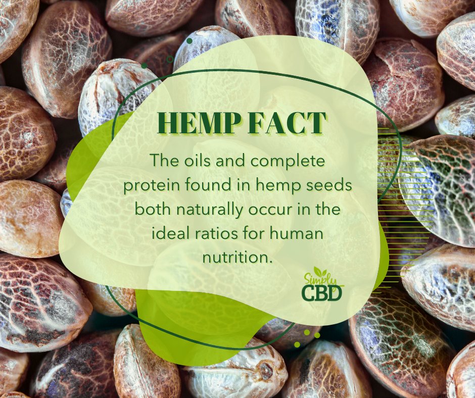 🌱 Hemp contains similar protein levels to beef and high quantities of essential fatty acids 🌱

Fact source: CTA

#hemp #hempandhealth #funfact #didyouknow #nature #natural #hempseeds #hempseedoil