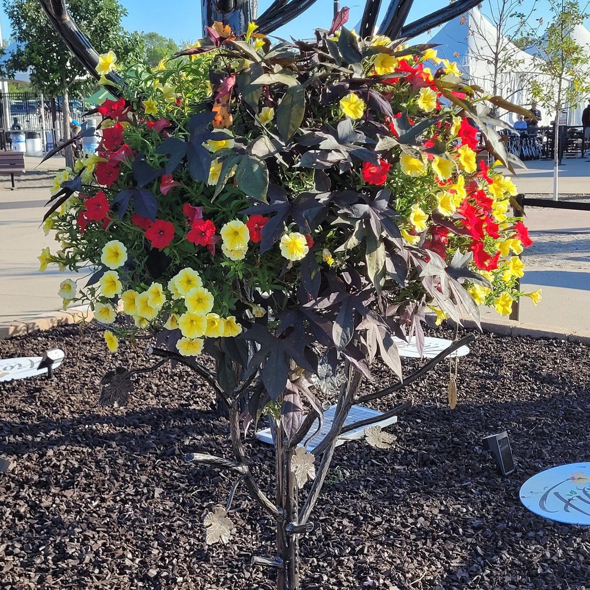 FioreTrees's tweet image. What types of flowers will you add to your #FioreTree? (via Keven Dockter) 🌷 🌼 🌻 🌺 🌹 🏵️