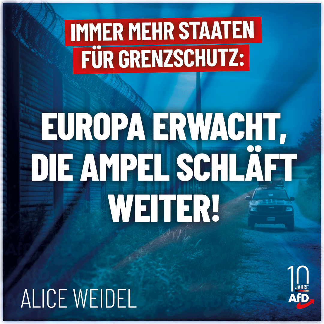 Alice_Weidel's tweet photo. Während immer mehr europäische Länder ihre Grenzen stärken und eine schärfere Migrationspolitik betreiben, bleibt Deutschland auf seinem entgegengesetzten Kurs. #Seenotrettung #Wassertaxi #AfD https://t.co/m8eu6WtRjm https://t.co/MjaKNXl9sF